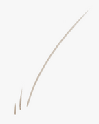 Boy Brow Arch