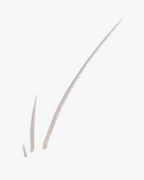Boy Brow Arch